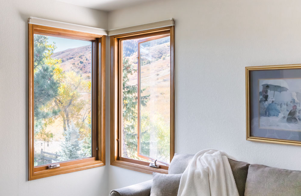 Windows