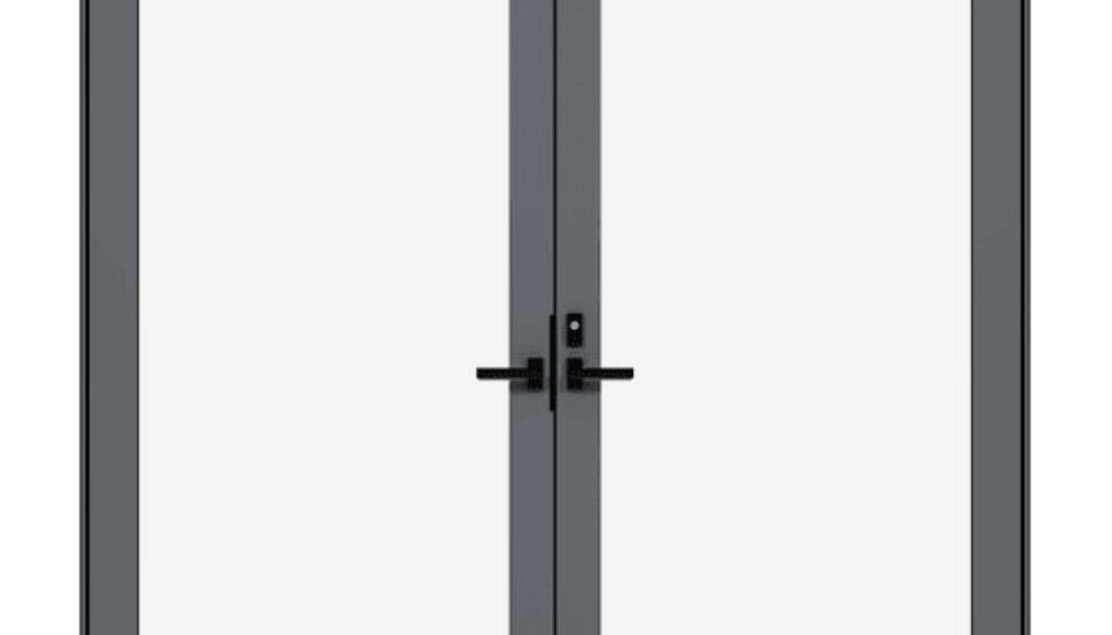 Modern Swinging Door
